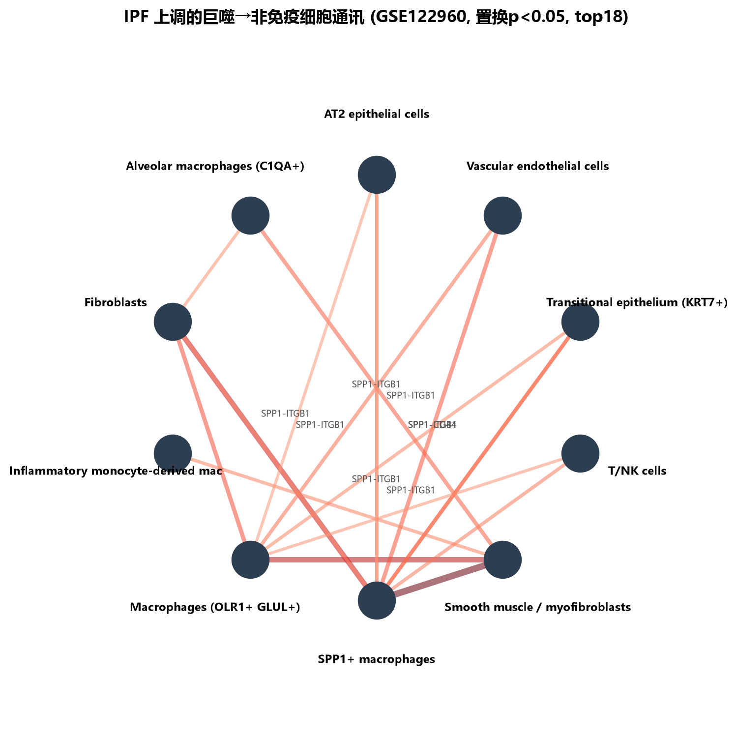 巨噬细胞与上皮细胞之间的细胞通讯弦图